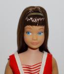Mattel - Barbie - Barbie's Little Sister Skipper - Brunette - Doll
